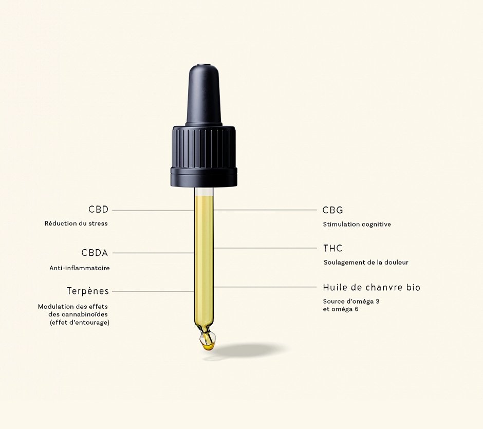 Schéma des cannabinoïdes